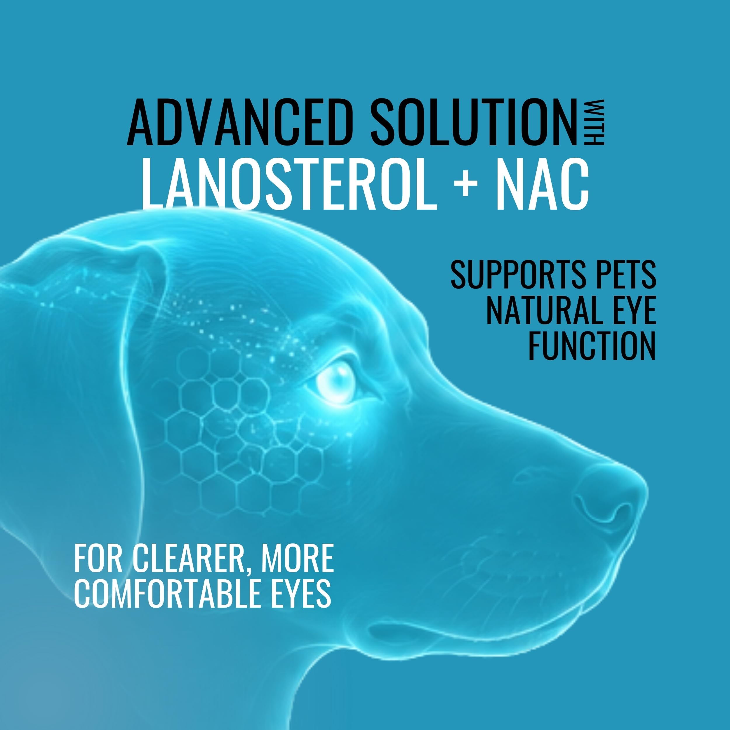 NOVEHA Pet Drops | Advanced Lanosterol Solution + NAC (2 x 10 mL) — Amazon image 5