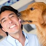 Teamoy Couches réutilisables pour chiens mâles, bande de chiot lavable 3 (XXL, 29 pouces -34 pouces taille, noir+ gris+ bleu du lac)
