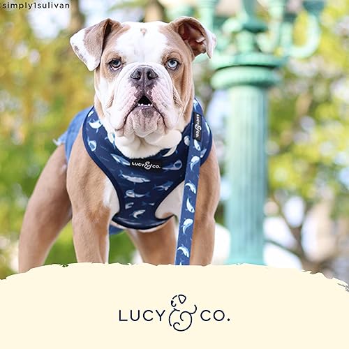 Miniatura 13 de Lucy & Co. Arneses reversibles para perros pequeños, medianos y grandes, acolchados, ajustables, para pastor alemán, pug, Bulldog francés, Bulldog