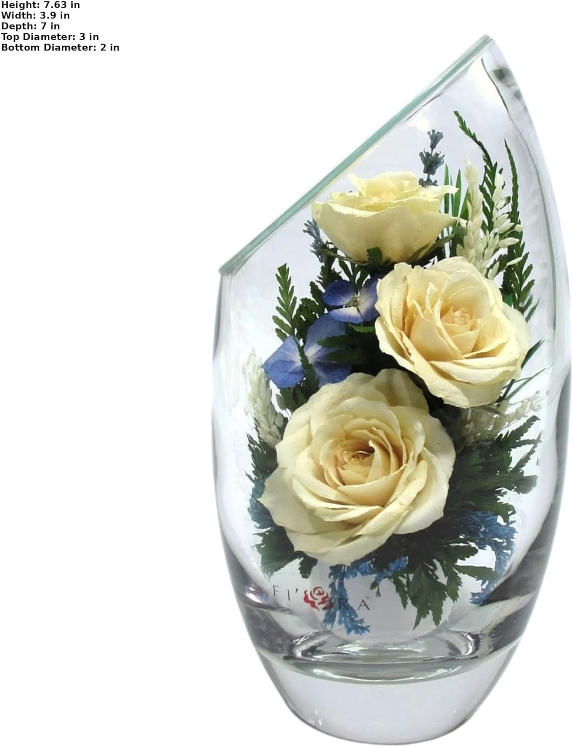 Fiora Flower | Preserved Roses & Floral Arrangement in Sealed Glass Vase | Lasts up to 5 Years | Elegant Gift for Weddings, Birthdays, and Anniversaries (Cream)