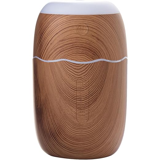 Compact Mist Purifier Nano Diffuser LED Lamp Personal Air Hu