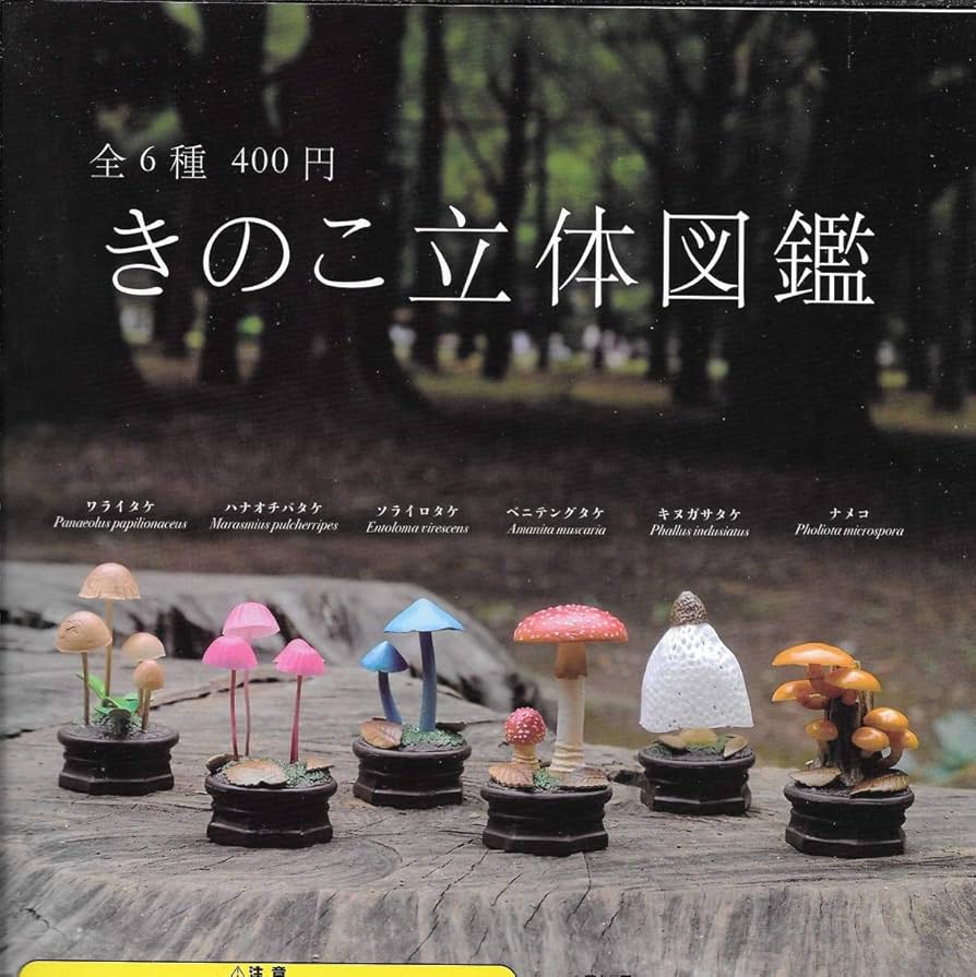 キノコ関係洋書　3冊セット キノコ関係洋書 3冊セット 本