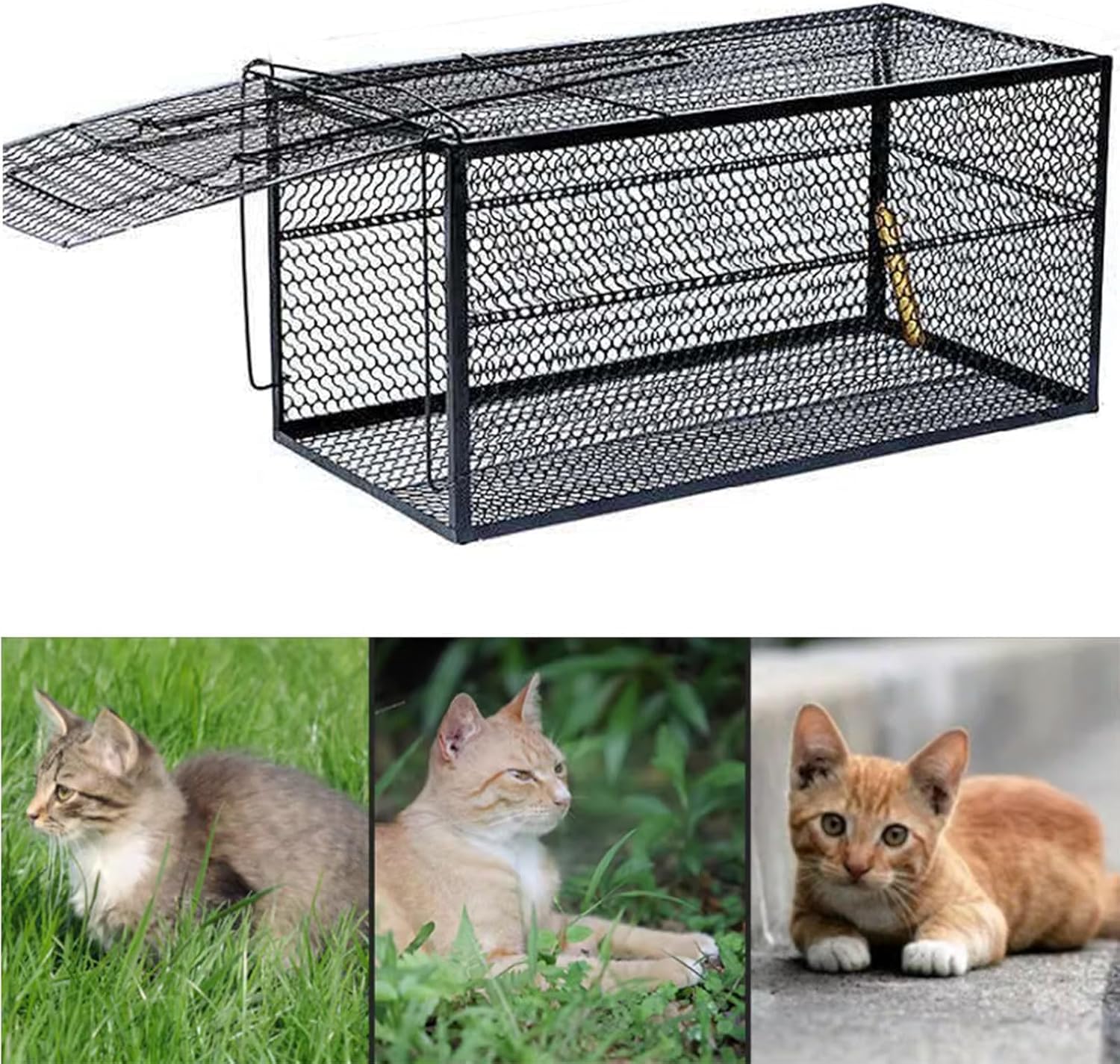 Trampa para Gatos Callejeros Adecuada para Tiendas De Mascotas para Ayudar A Las Mascotas A Casa Y Bañarse, 53X19X19cm