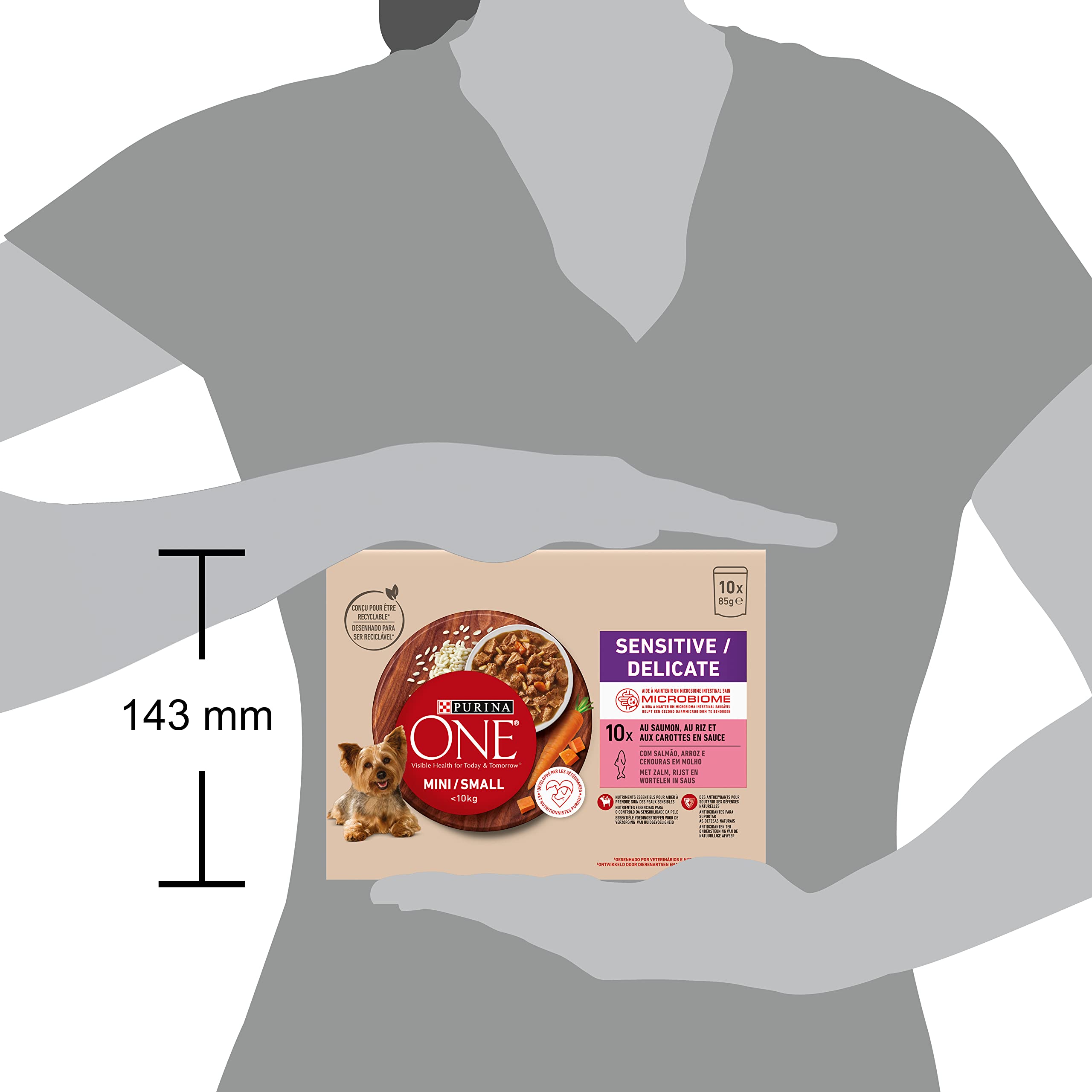 PURINA ONE Mini/S <10kg sensitiva/delicata, sbucciati con salmone, riso e carote in salsa per cani adulti di piccola taglia | digestione sensibile bustine pasto 10 x 85 g | Confezione da 6