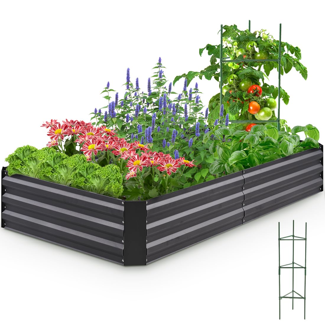 Quictent Galvanized Raised Garden Bed 6x3x1 Ft Metal Planter Box for Vegetables Bottomless for Backyard Outdoor, Include 1 Tomato Cage, Dark Grey