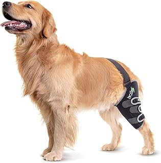 Balto Sport Agile CCL Brace – Knee Support for Dogs – Soft, Breathable Compression Wrap Helps Reduce Joint Inflammation