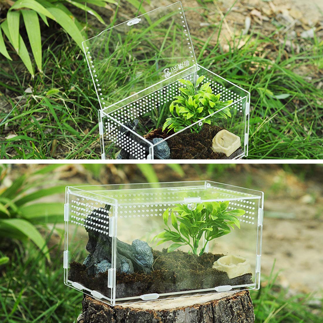 Boîte d'alimentation en Acrylique pour Reptiles 20 x 12 x 12 cm Terrarium en Verre Transparent - 2 Pinces Droites et incurvées pour Animaux domestiques - pour Insectes, araignées,crabes, lézard