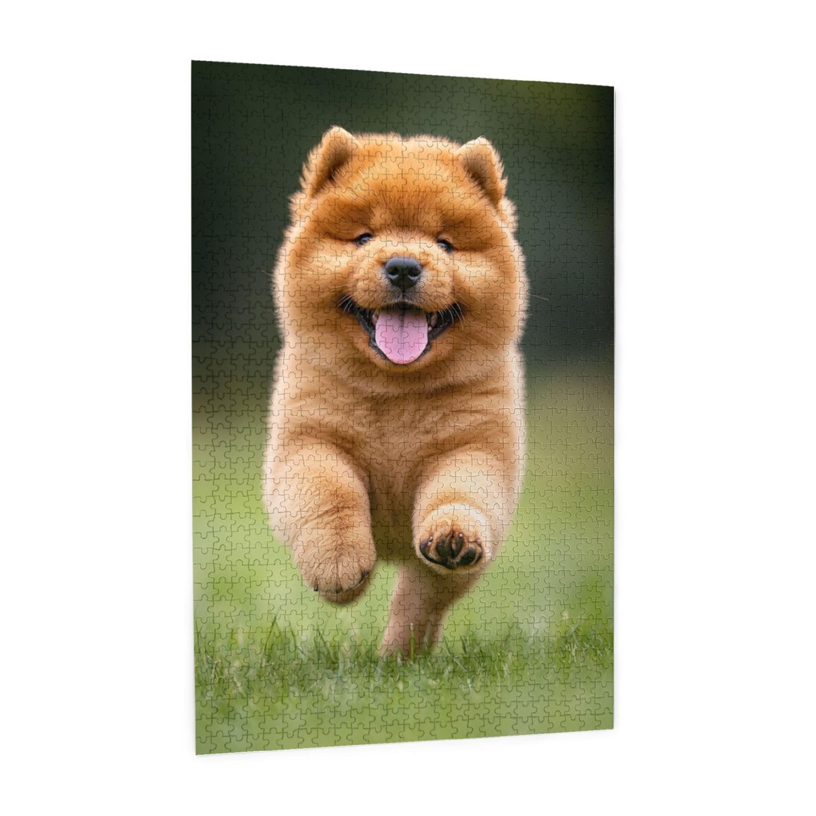 Best chow chow running Online