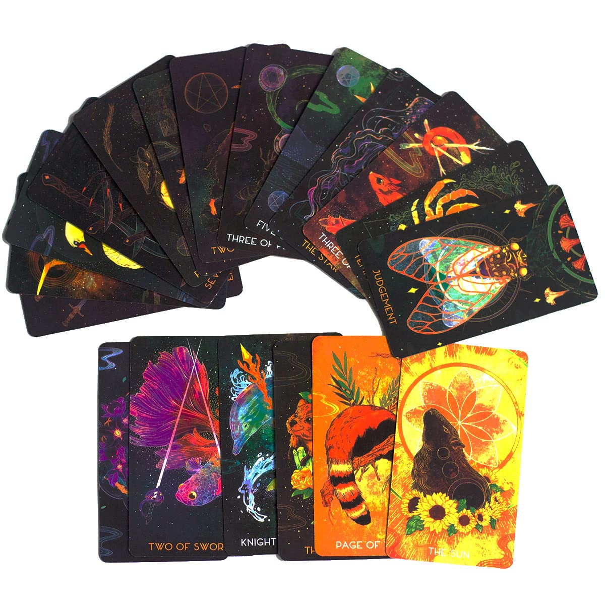 Amazon.com: AIEWEV Tarot Cards Deck - 78 Tarot Cards Black Tarot Deck  Divination Tools for Beginners with E- Guidebook : Toys & Games