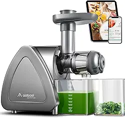 Máquina de suco Aobosi, espremedores de mastigação lenta, máquinas de espremer a frio com função inversa, motor silencioso, alto rendimento de suco com jarro de suco e escova para limpeza (cinza)