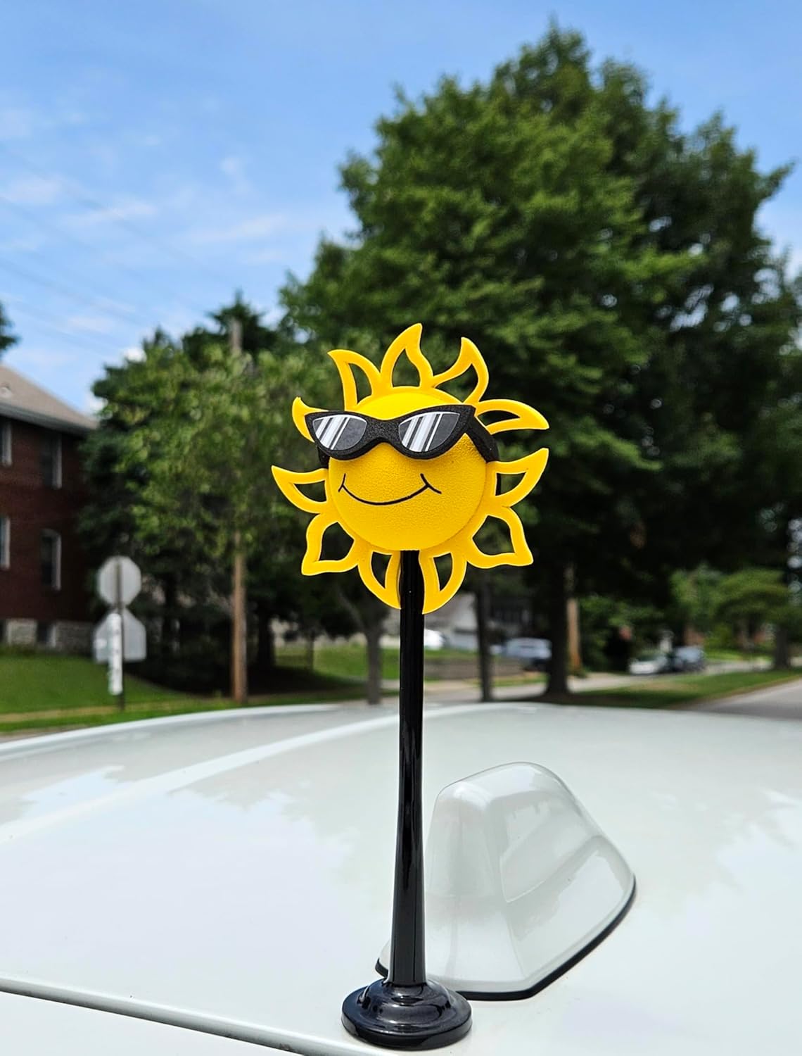Cool Sun Black and White Sunglasses Magnetic Car, Truck, SUV Roof Topper Car Magnet Buddy Antenna Ball Stand