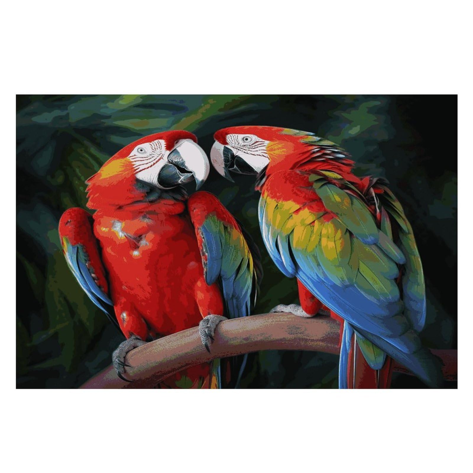 Two Colored Parrots Placemats Wipeable Heat Resistant Table Mats Washable Flax Place Mats Elegant Cloth Non-Slip Placemat for Kitchen Dinning Party Table Decor 12 * 18 in