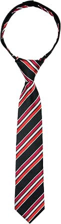 Spring Notion Boys Pre-tied Woven Zipper Tie