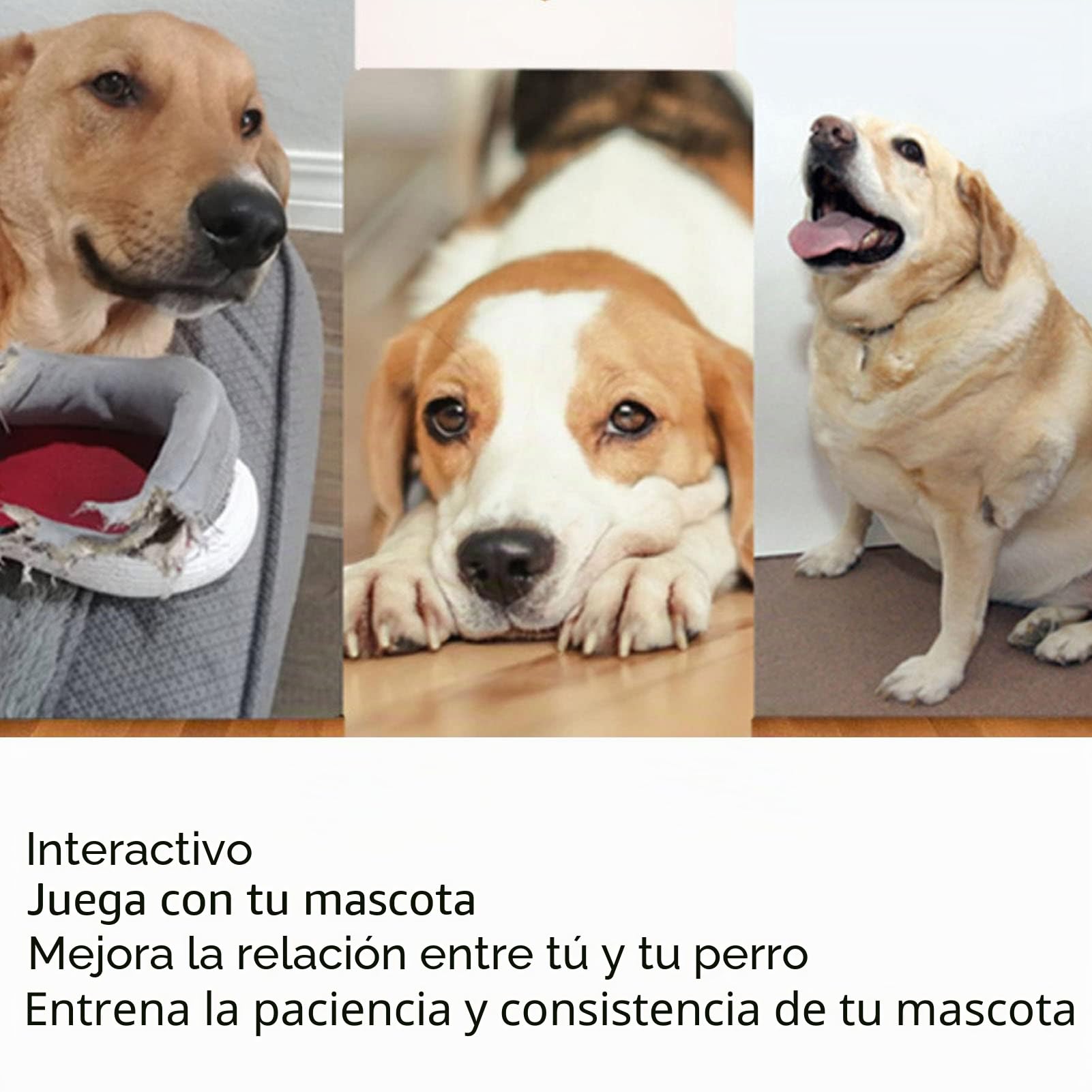 Tnfeeon Lanzador Automático de Bolas para Perros Mini Lanzador de Bolas Juego de Lanzamiento Recargable 3 Modos Lanzador Interactivo de Bolas para Mascotas para Interiores y
