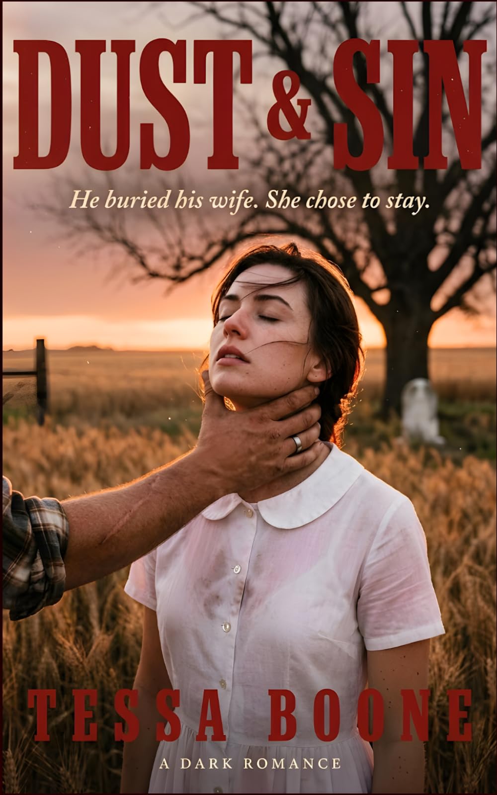 Dust & Sin: A Dark Romance (The Buried Hearts Collection)