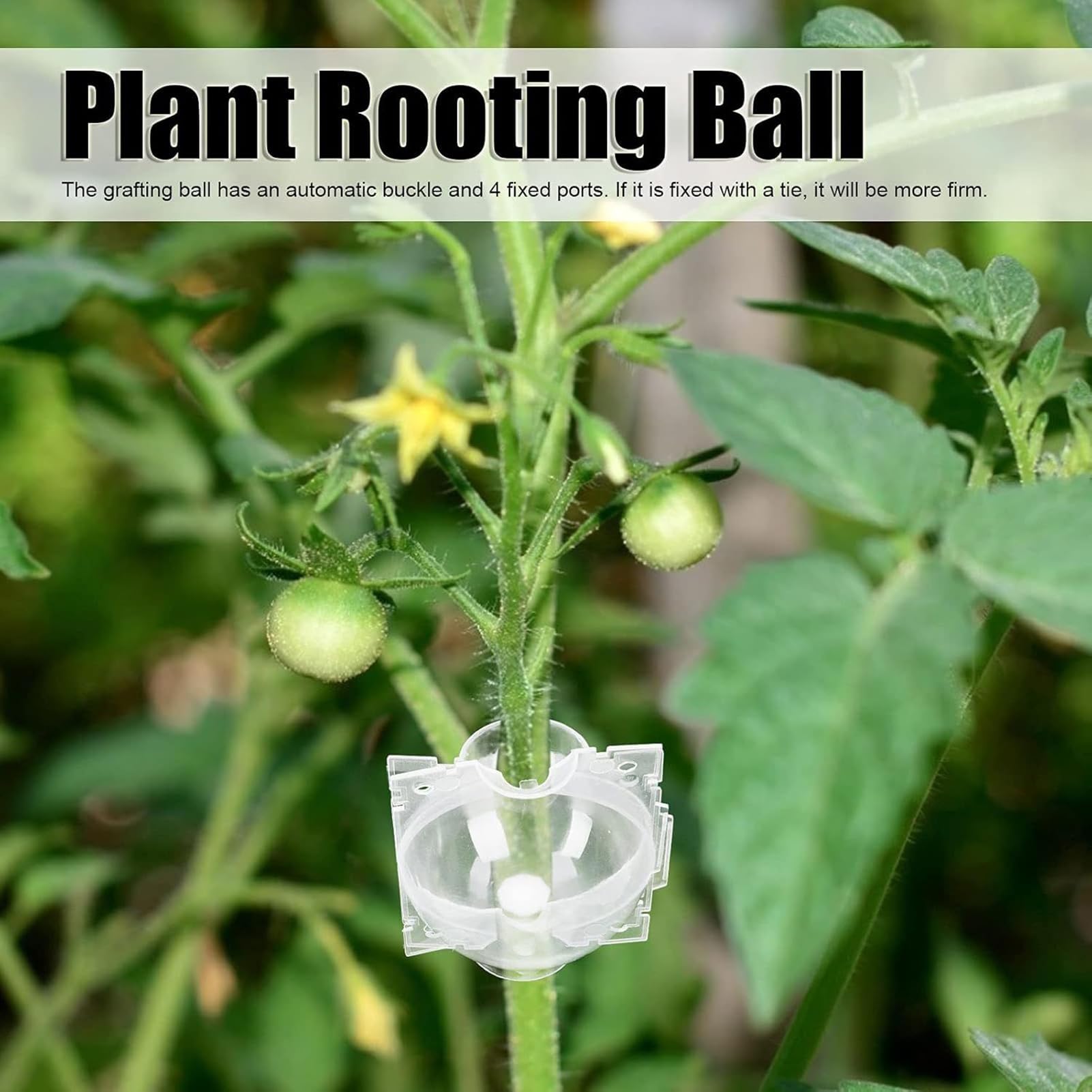 10 Pack Tree Root Growing Box, Rooting Ball Grafting Tools, Reusable ...