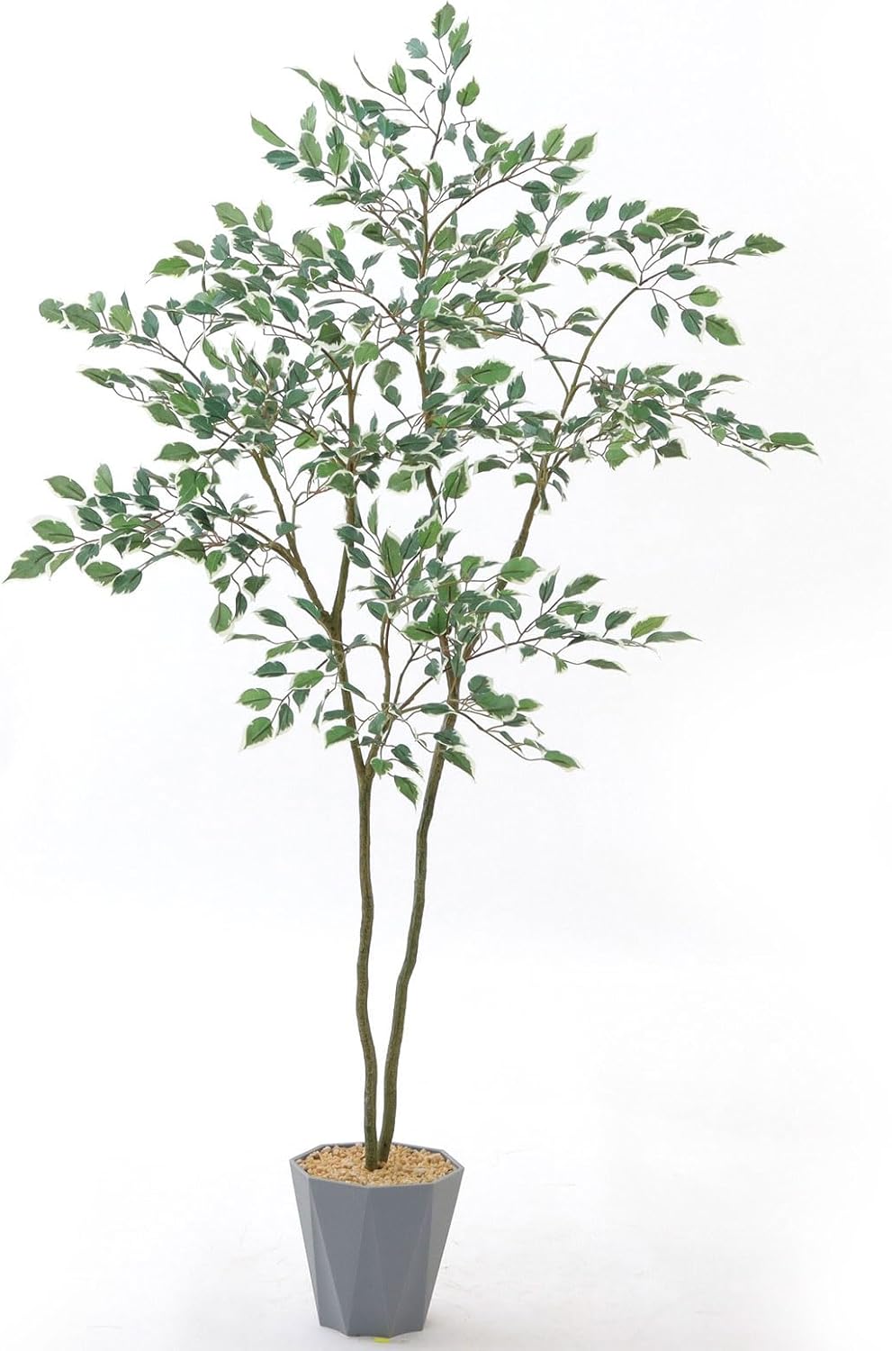 ポポラスと数種類の針葉樹をシックに紡いだ 落ち着いた雰囲気の