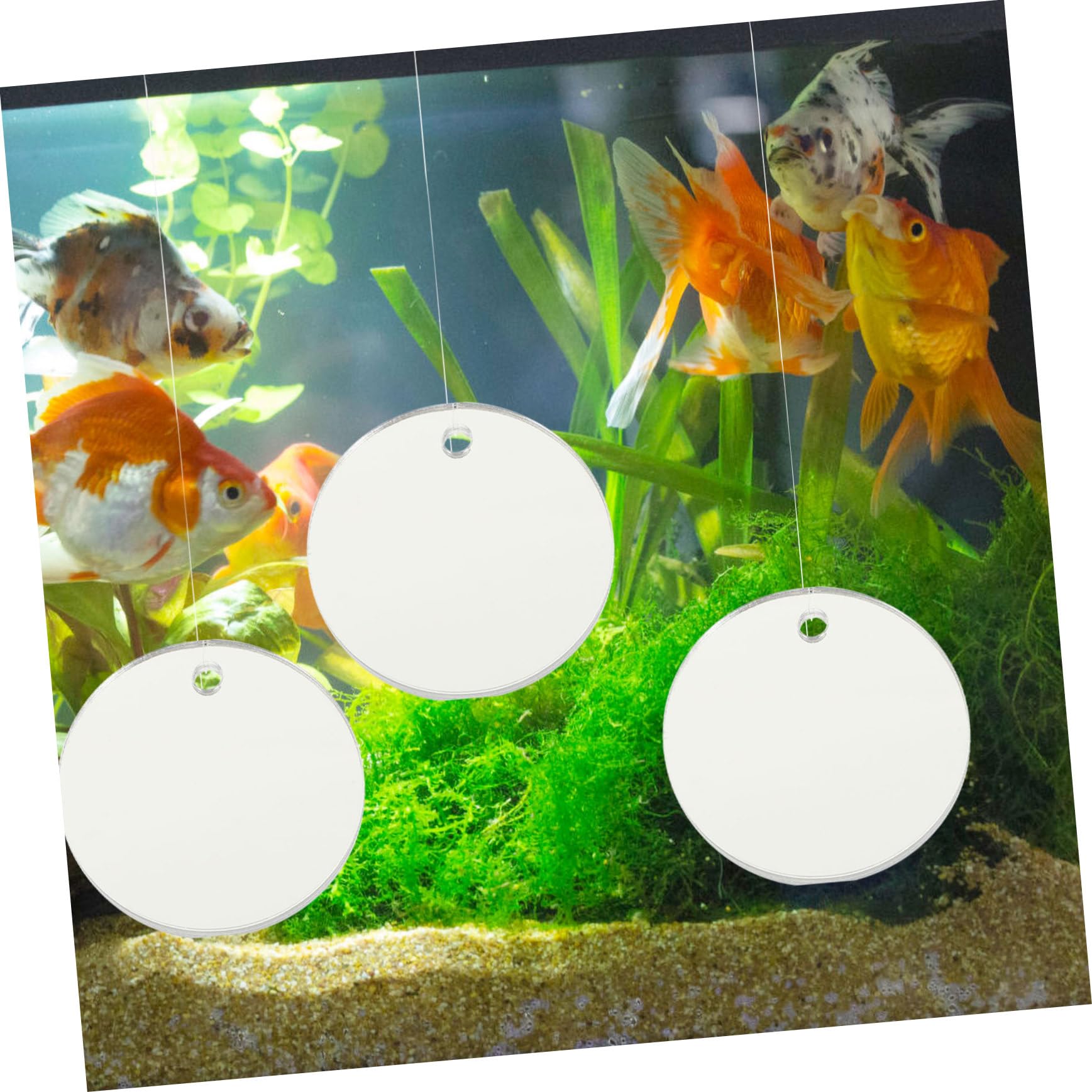 BESPORTBLE 20piezas Espejos para Acuarios De Betta Espejos Flotantes Redondos De Accesorios para Peceras Decoración para Acuarios De Agua Dulce y Salada