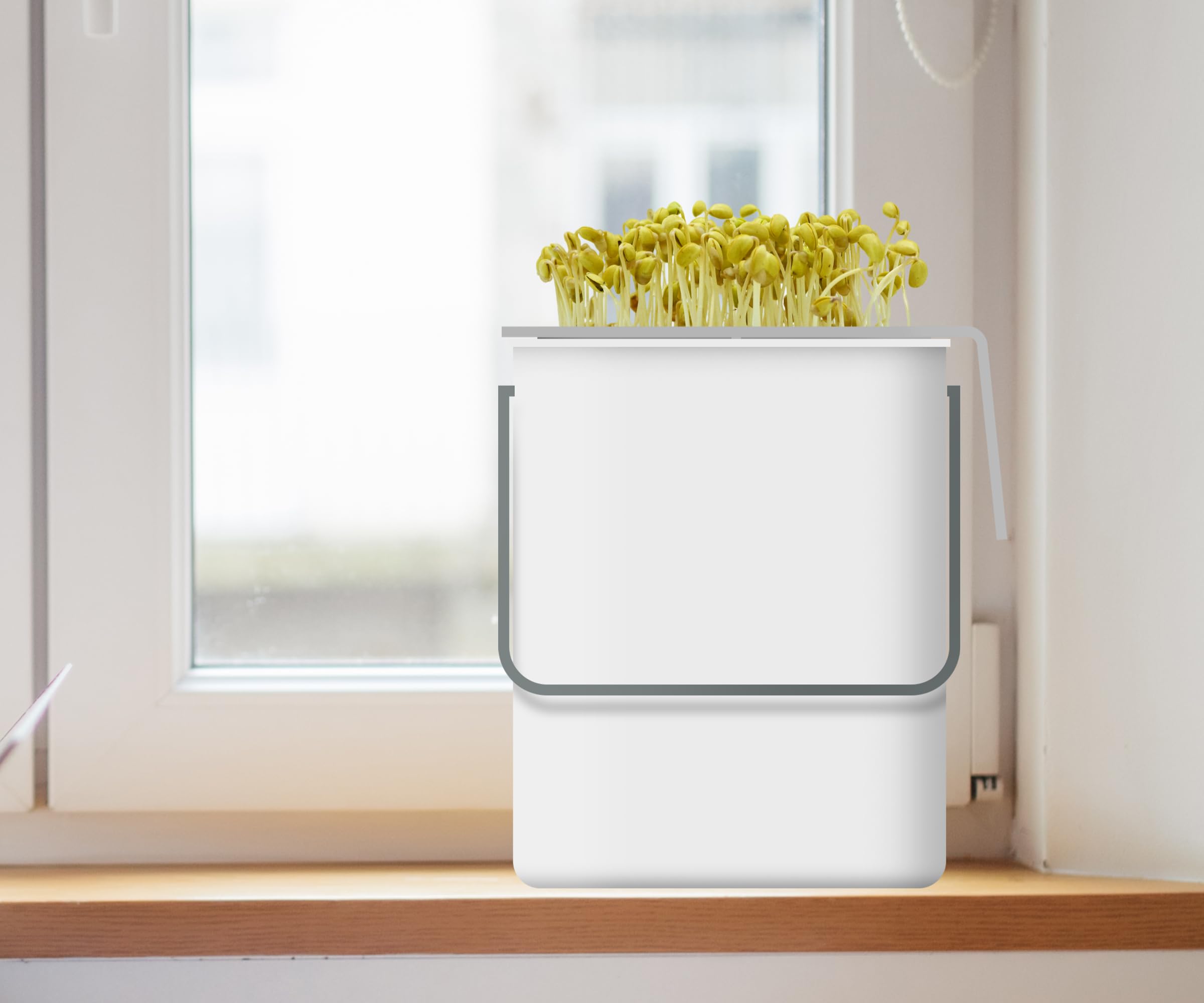 Sojasprossen-Anzuchtset All-in-One | Komplettset für Zuhause: Einfach, Schnell & Vielseitig | Ideal für Familien und Bildungseinrichtungen | Mit Sojabohnen (Sojabohnensprossen-Anzuchtset)