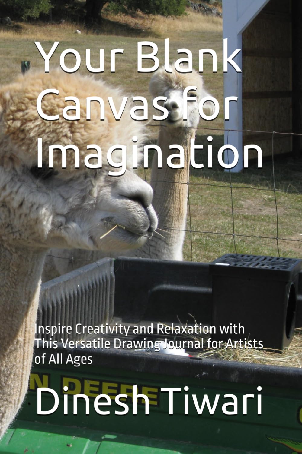 Your Blank Canvas for Imagination: Inspire Creativity and Relaxation with This Versatile Drawing Journal for Artists of All Ages