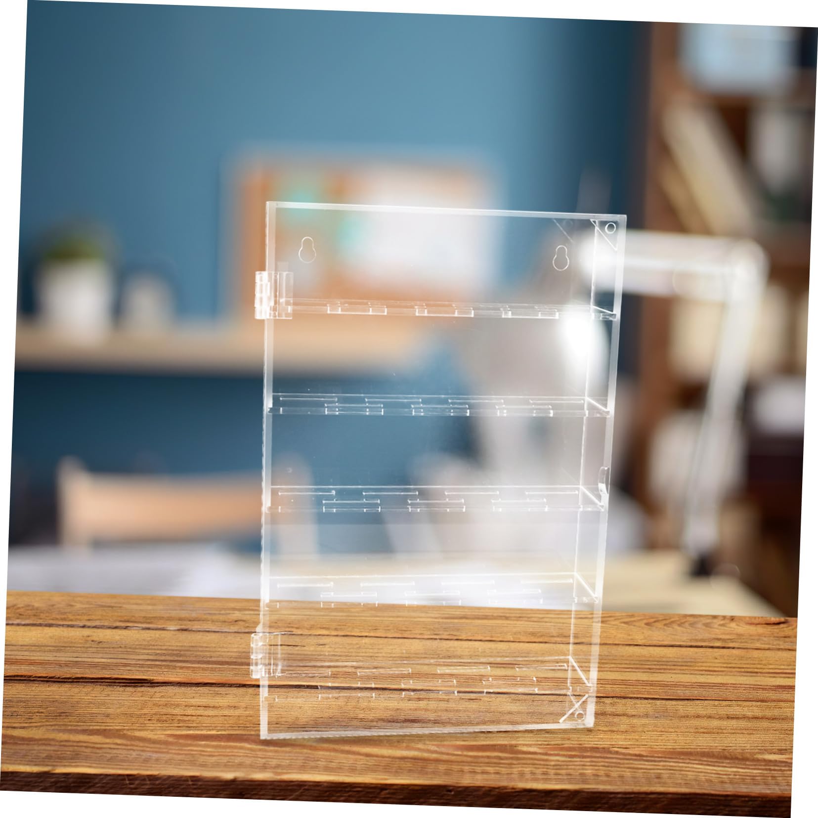 TOYANDONA Vitrina para Monedas de Colección Transparente de Acrílico Caja de Exhibición para Monedas Desafío y Fichas de Póker Capacidad para Protección Antipolvo y Cerradura de Seguridad
