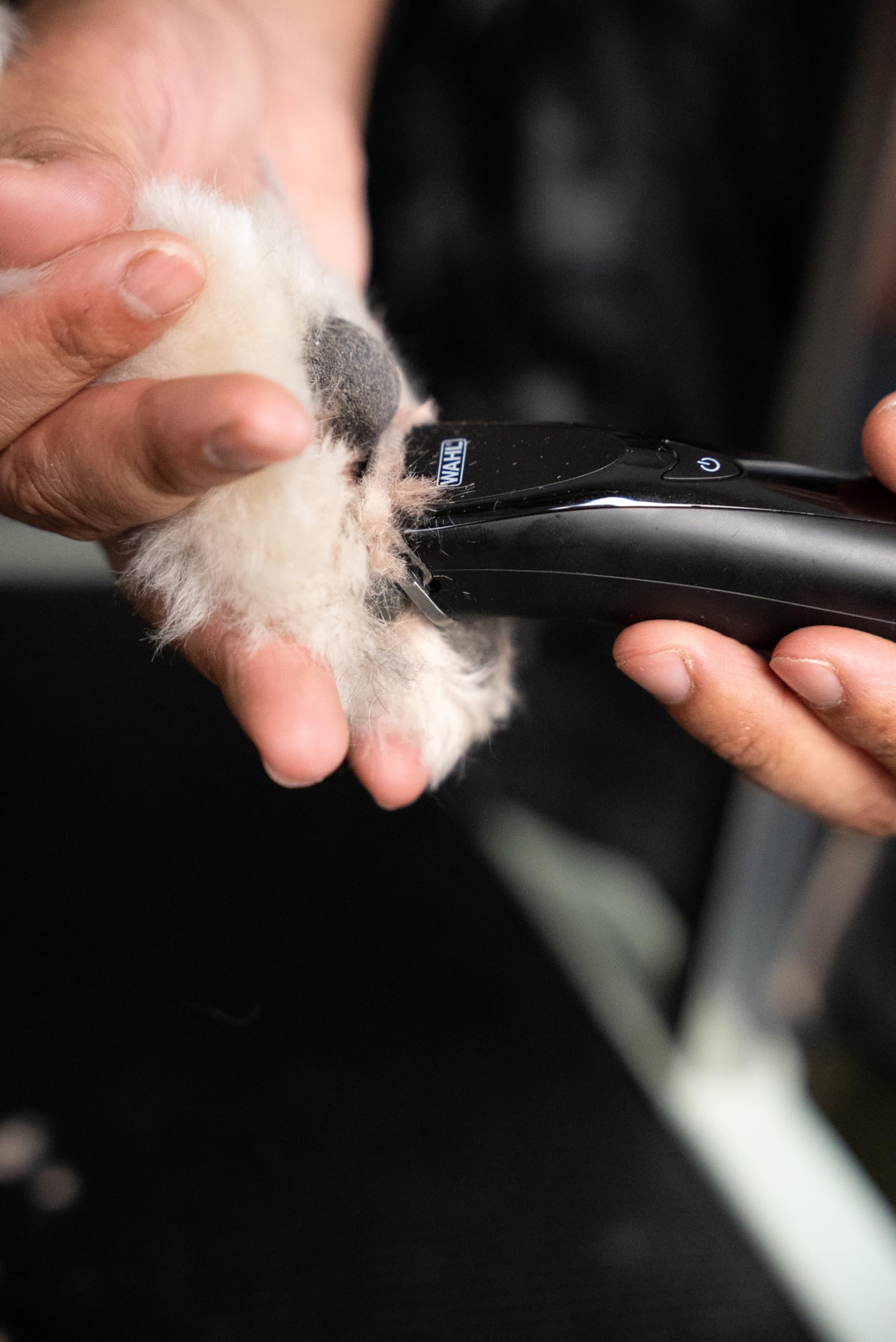 WAHL Fidela Trimmer Blade, 0,4 mm Schnittlänge, Trimmen, Pflegezubehör, Trimmeraufsätze, Pfoten & Gesicht, Stahl