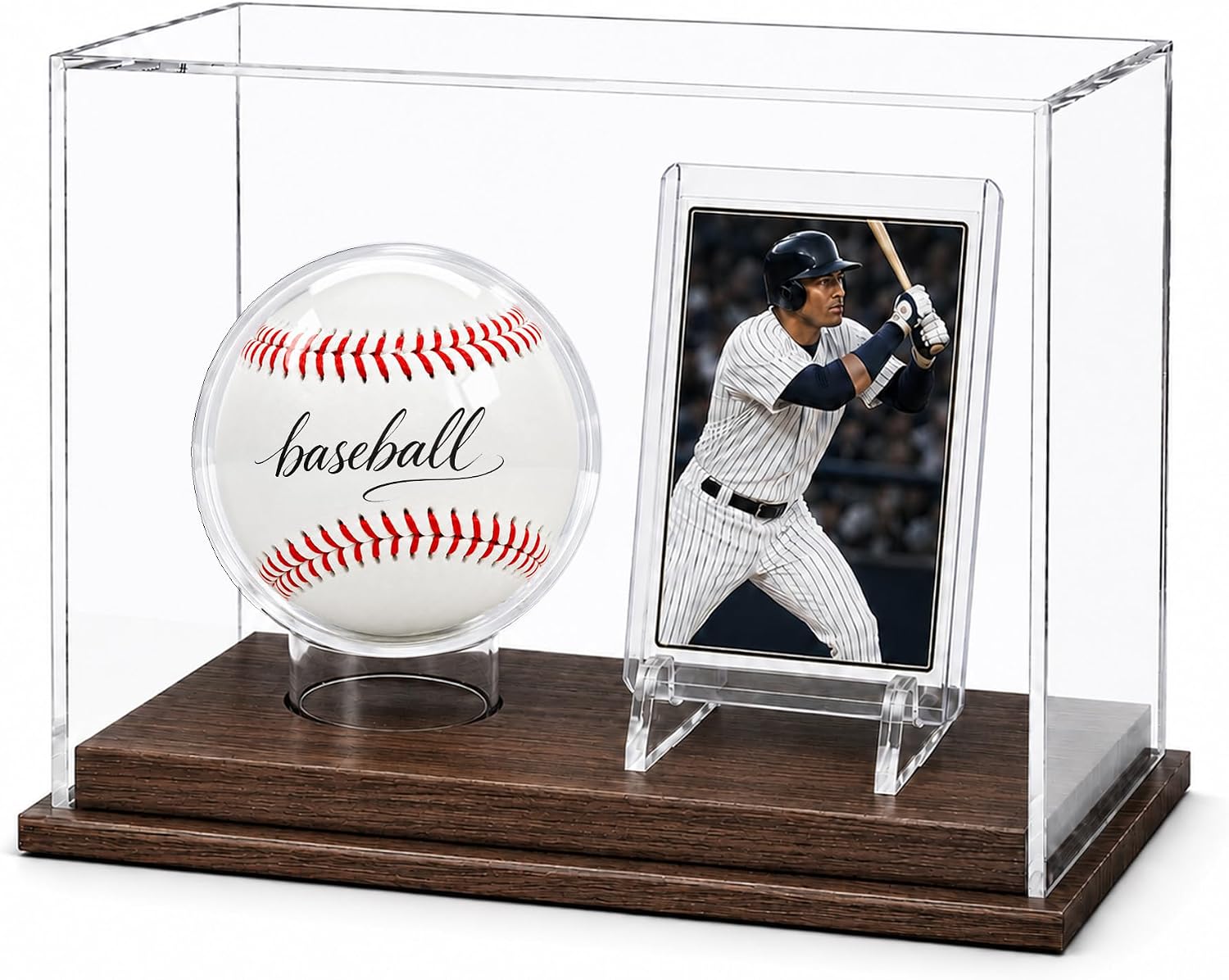 Baseball Display Case with Card Holder, Wood Base