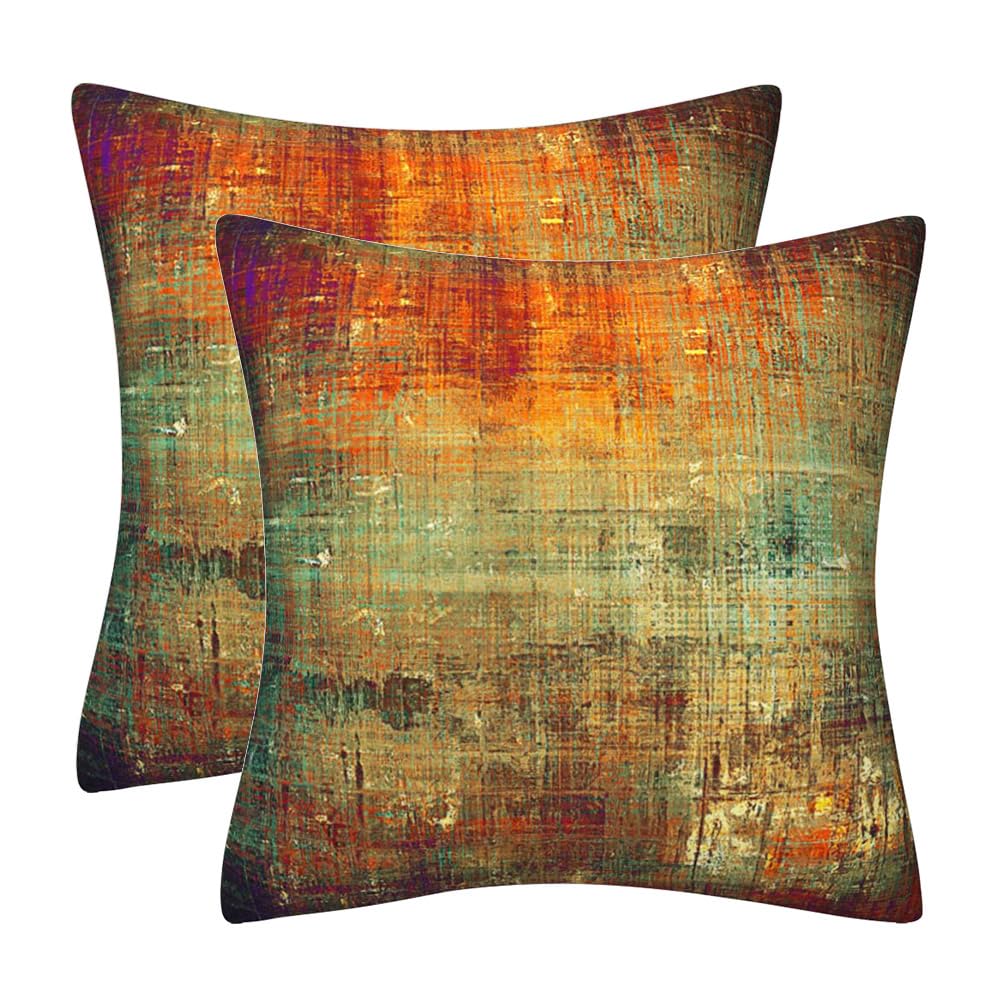DILOXNSU Set of 2 Decorative Velvet Cushion Covers 50 x 50 cm Retro Colour Soft Pillow Case 20x20 inches for Sofa Outdoor Patio Garden Living Room Home Decor Abstract Art Series