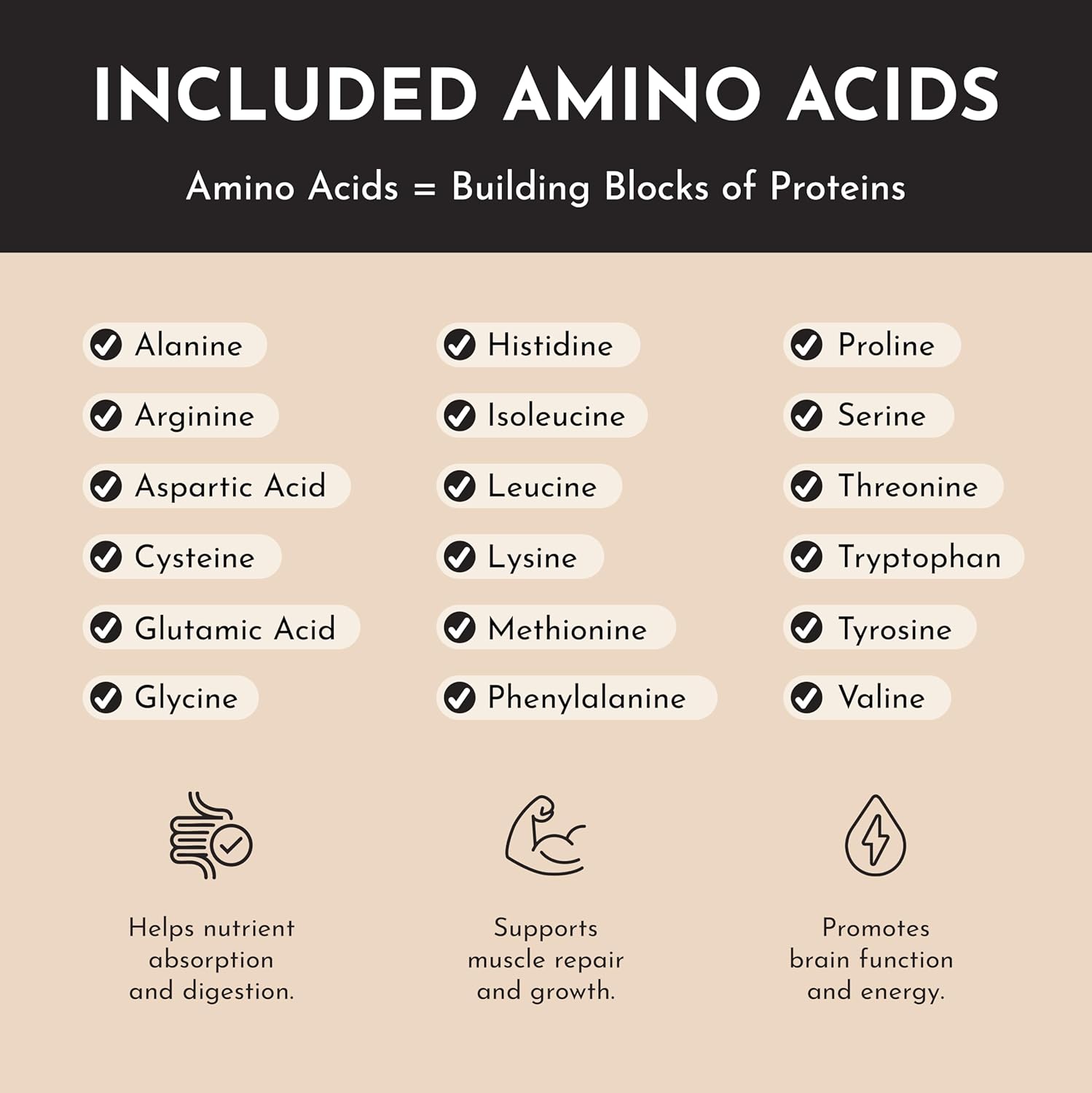 JUST INGREDIENTS Chai Protein Powder – 30-Serving Blend with 100% Grass-Fed Whey & Organic Plant Proteins – Warm Spice Flavor with Cinnamon, Ginger & Cardamom – Supports Muscle Recovery, Energy* - Image 8