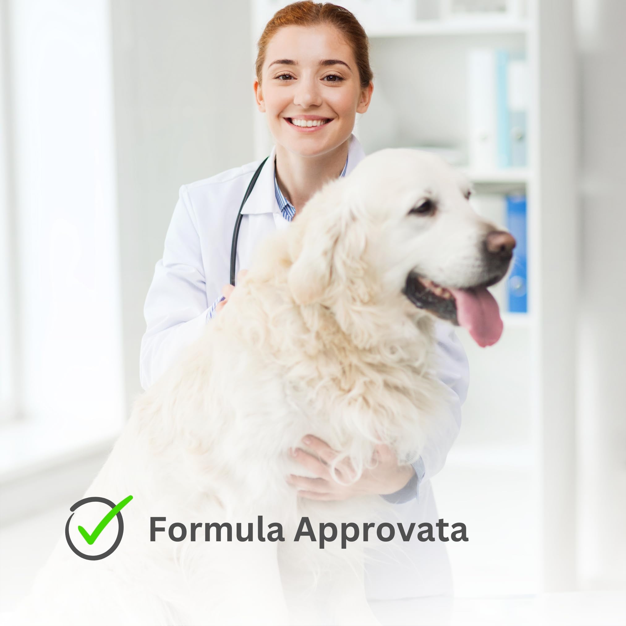 Super Bau Bau 2 Collare Antiparassitario per Cani di Alta Qualità - Antipulci per Cani, Antiparassitario Cani, Antizecche e Anti Zanzare, Impermeabile, Efficace 14 Mesi, 65cm per Cani oltre 8kg