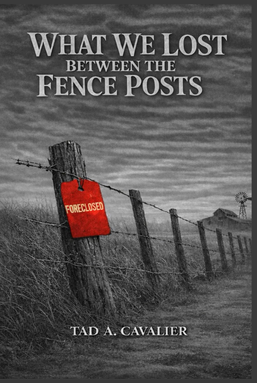 What We Lost Between The Fence Posts