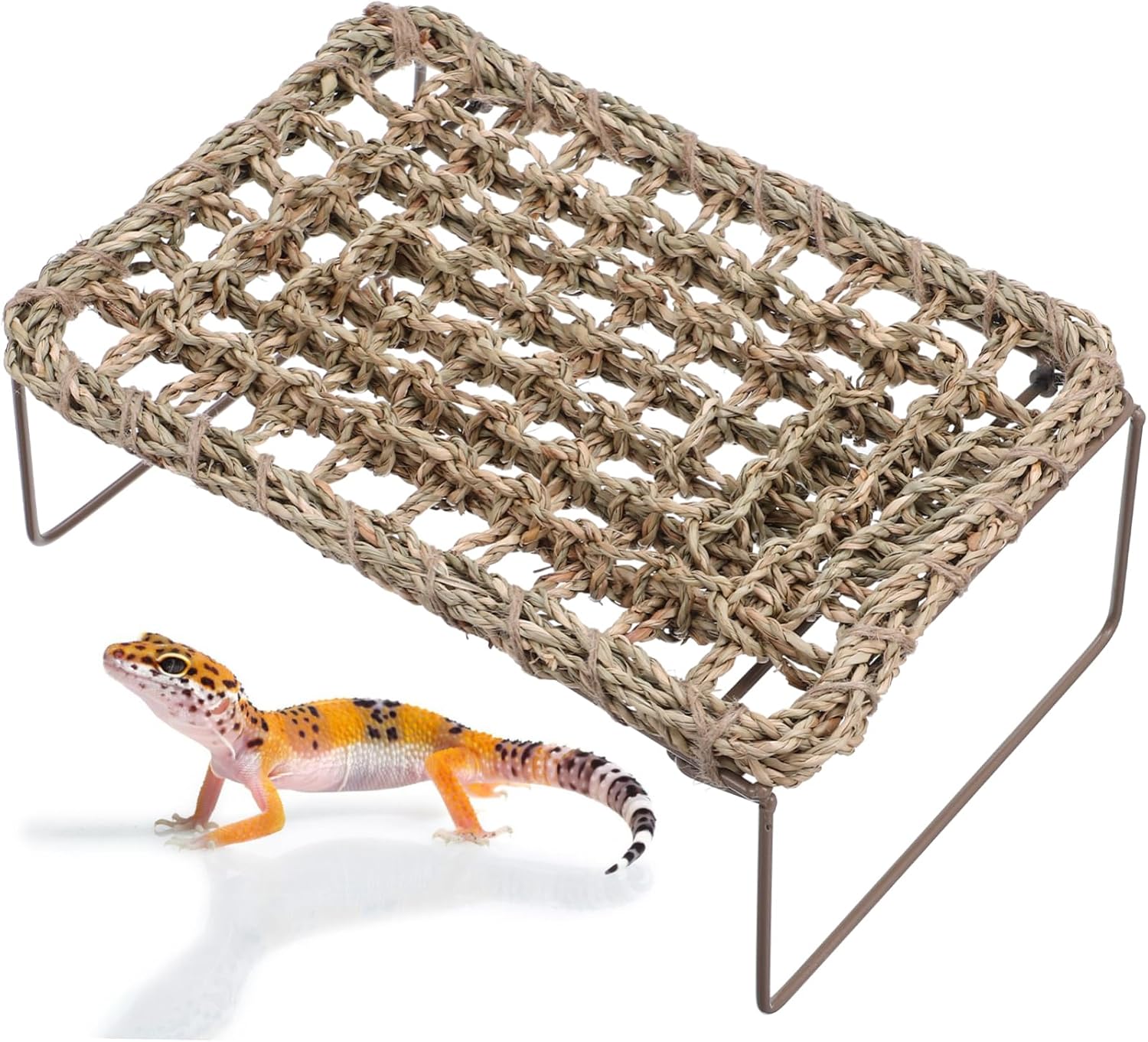 Abaodam 2pcs Lizard Hammock Natural Grass Bearded Dragon Bed Climbing Lounger for Reptiles Easy to Clean and Breathable Climbing for Terrarium Setup