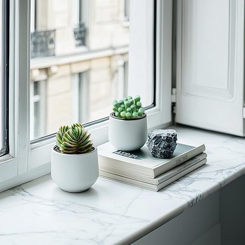 Miniatura 4 de Crassula suculenta viva de 2 pulgadas, templo de Buda, plantas suculentas totalmente enraizadas en macetas, planta de casa única para bricolaje,