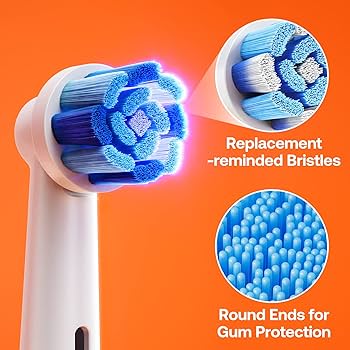 Amazon.com : Bitvae R2 Rotating Electric Toothbrush Purple