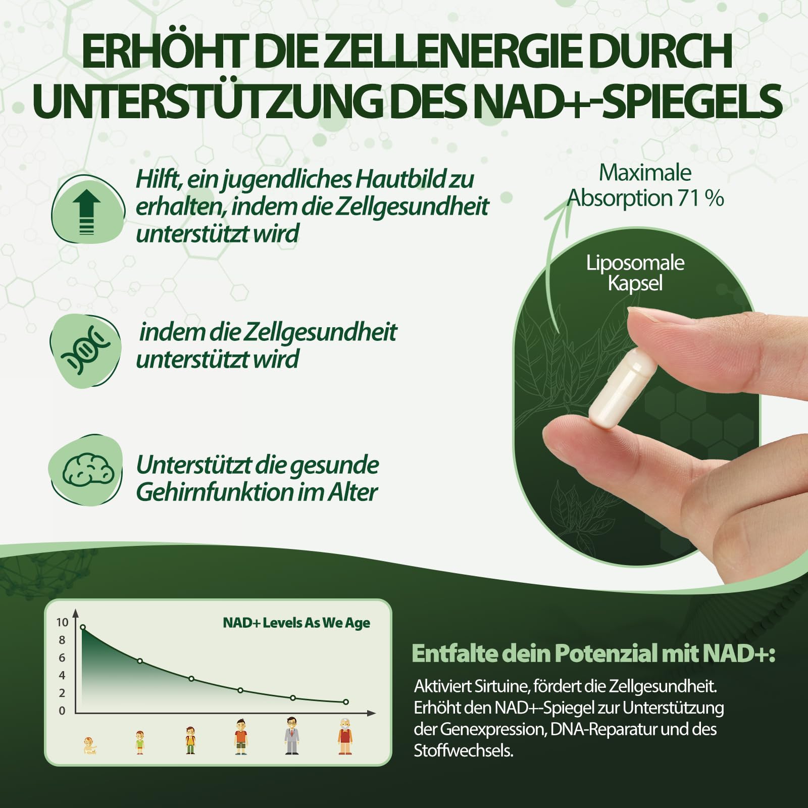 Windboss NAD+ Liposomal NR 900mg, Ergänzung mit Nicotinamid-Ribosid, Quercetin Phytosome, Resveratrol, Supplements Hoch bioverfügbar für Energie, Haut & Vitalität, NAD Booster 100 Kapseln