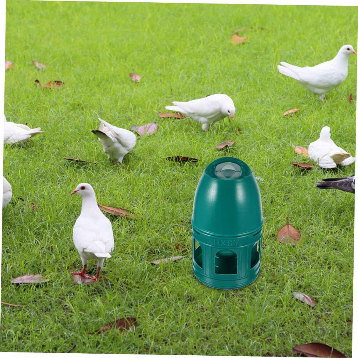 Yardwe Contenedor de Agua de Plástico Resistente para Palomas Comedero de Agua de Gran Capacidad para Palomas Bebedero para Codornices para Jaulas de Pájaros