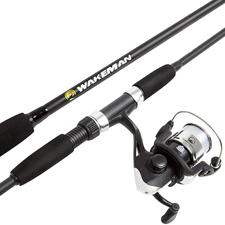 worm gear fishing rod