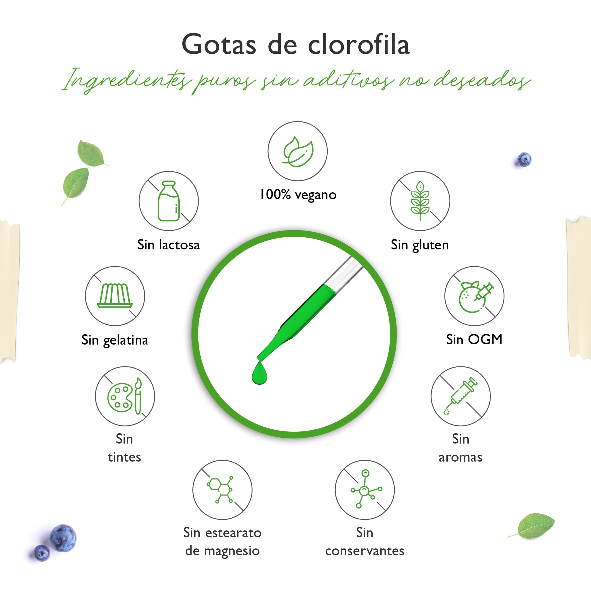 Gotas de clorofila 100 ml - Premium: Dosis hasta 4 veces superior - Clorofila líquida de extracto de alfalfa - Con agua de ósmosis purificada - Vegano