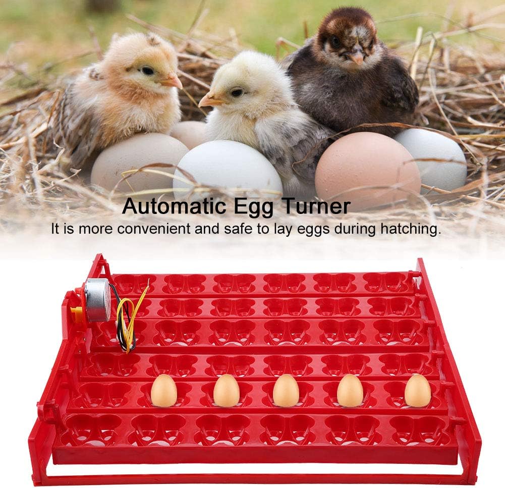 Automatic Egg Turner Tray, 110V Motorized Incubator Accessory for 36 Chicken to 144 Quail Eggs, Plastic Hatching System
