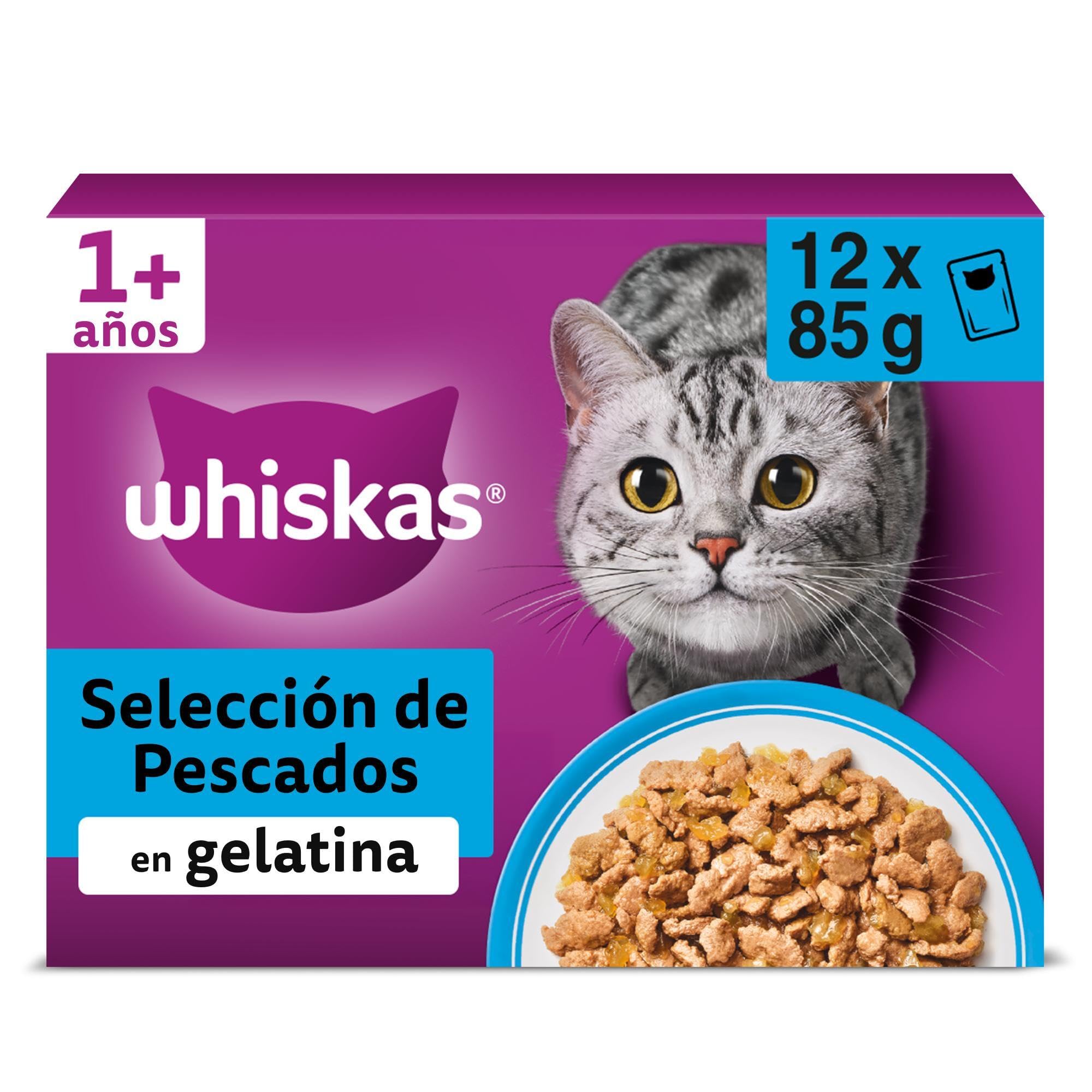 Whiskas Comida Húmeda para Gatos Adultos Selección Pescados en Gelatina (Multipack 4x12x85g)
