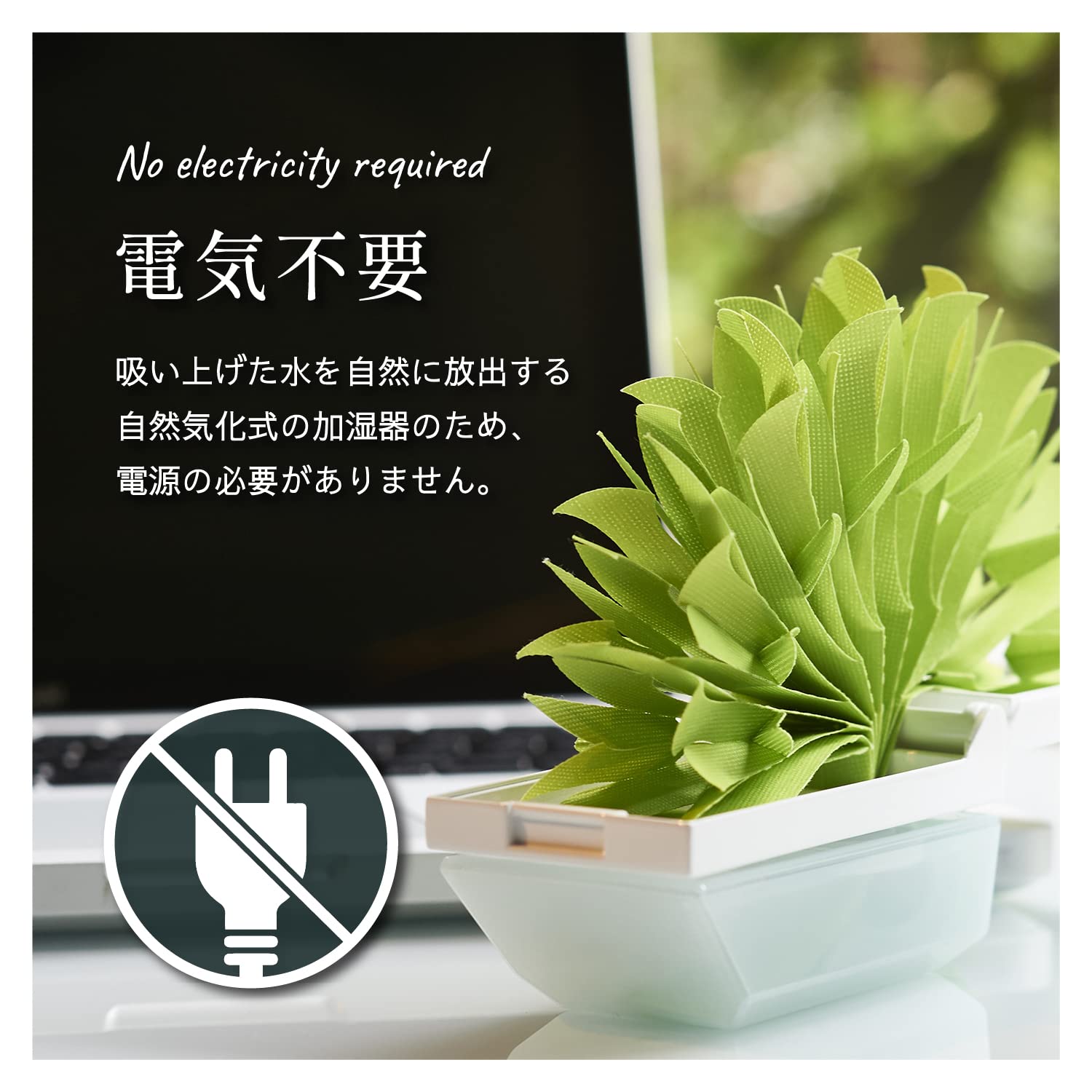 Amazon.co.jp: ミクニ 加湿器 おくだけエコ加湿 ちょこっとオアシス+C