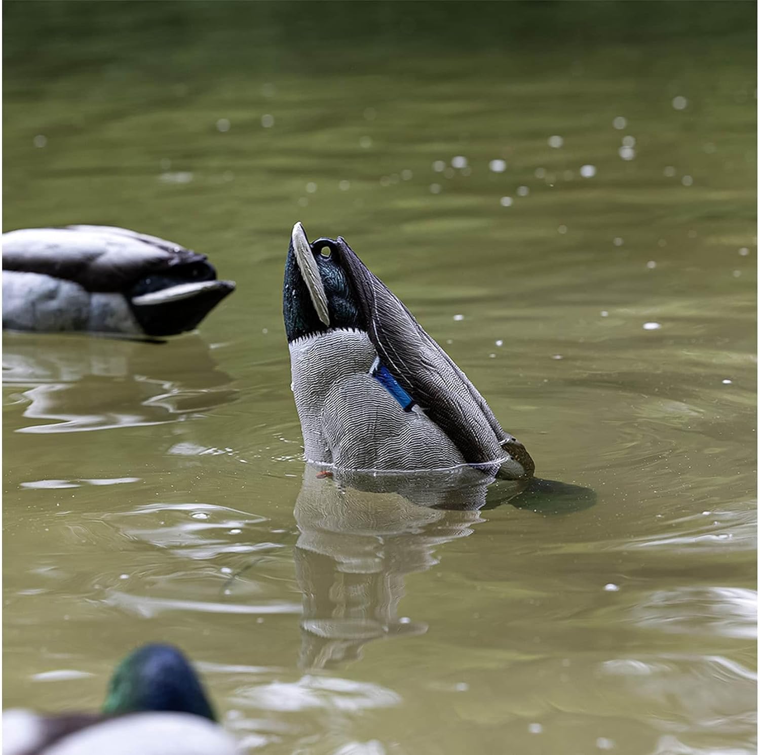 Avian X Tip Up Mallard Feeder Duck Decoy