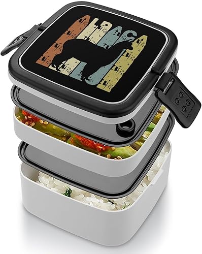 Miniatura 4 de Caja Bento de alpaca retro para adultos, lonchera de doble capa, contenedor de almuerzo para trabajo y campamento