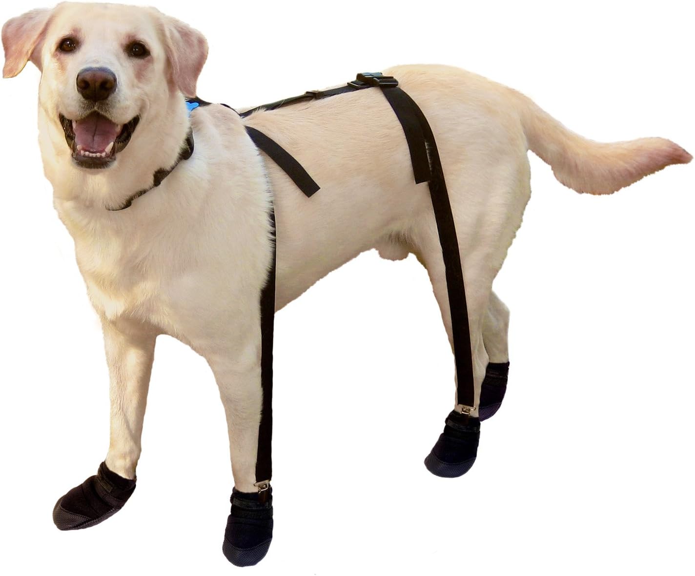 Snuggy Boots for Dog, Small, Black
