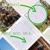 Vista 1267 de Razas de Perros 2017