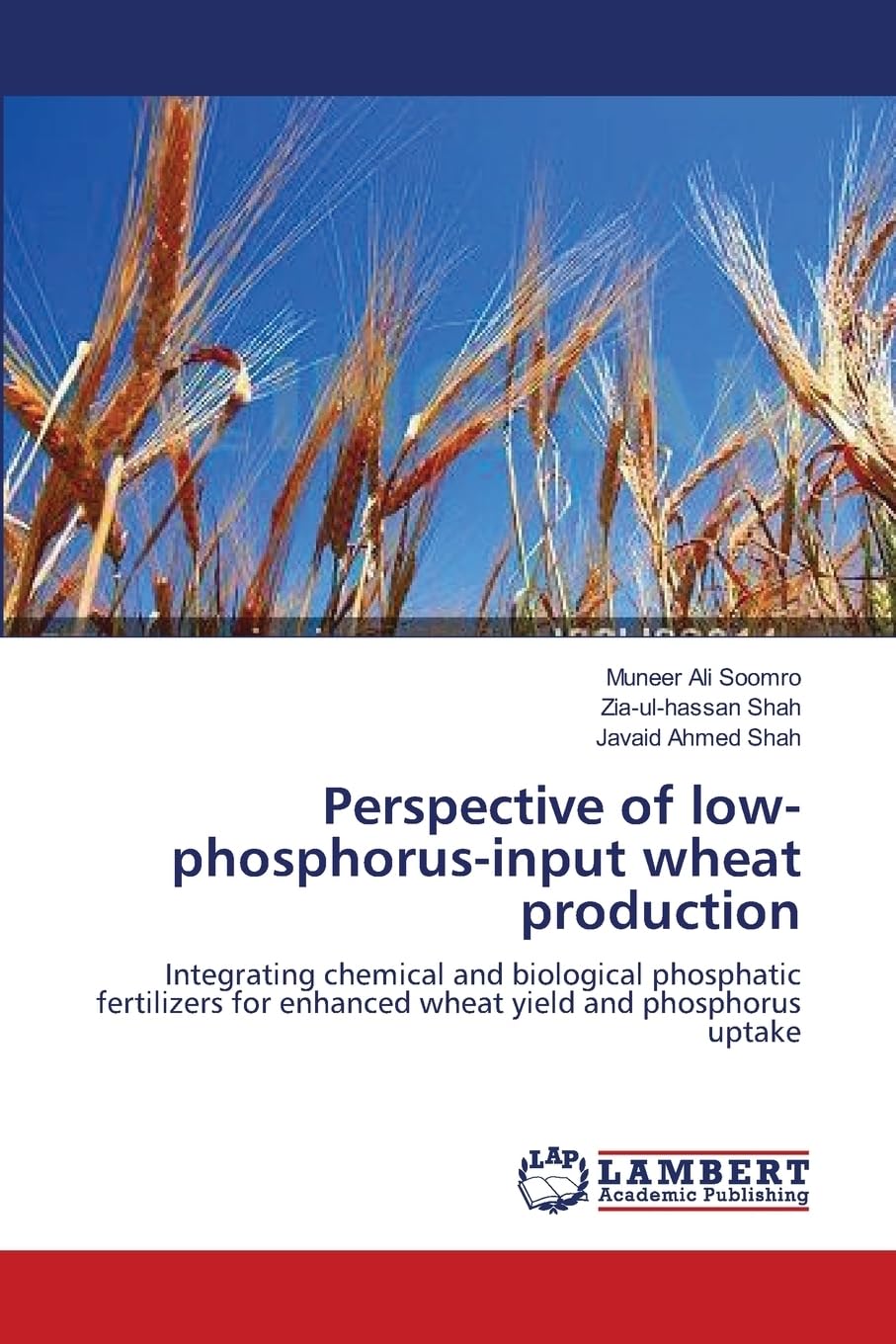 Perspective of low-phosphorus-input wheat production: Integrating chemical and biological phosphatic fertilizers for enhanced wheat yield and phosphorus uptake