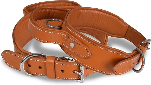 Leather Dog Collar with Handle, 2 Inch Wide Saddle Grade Brown Leather Dog Collar for Large Dogs | Heavy Duty, Comfortable, Inner Soft Padded | L Fit Neck Size 18.5"-22.5", Light Brown