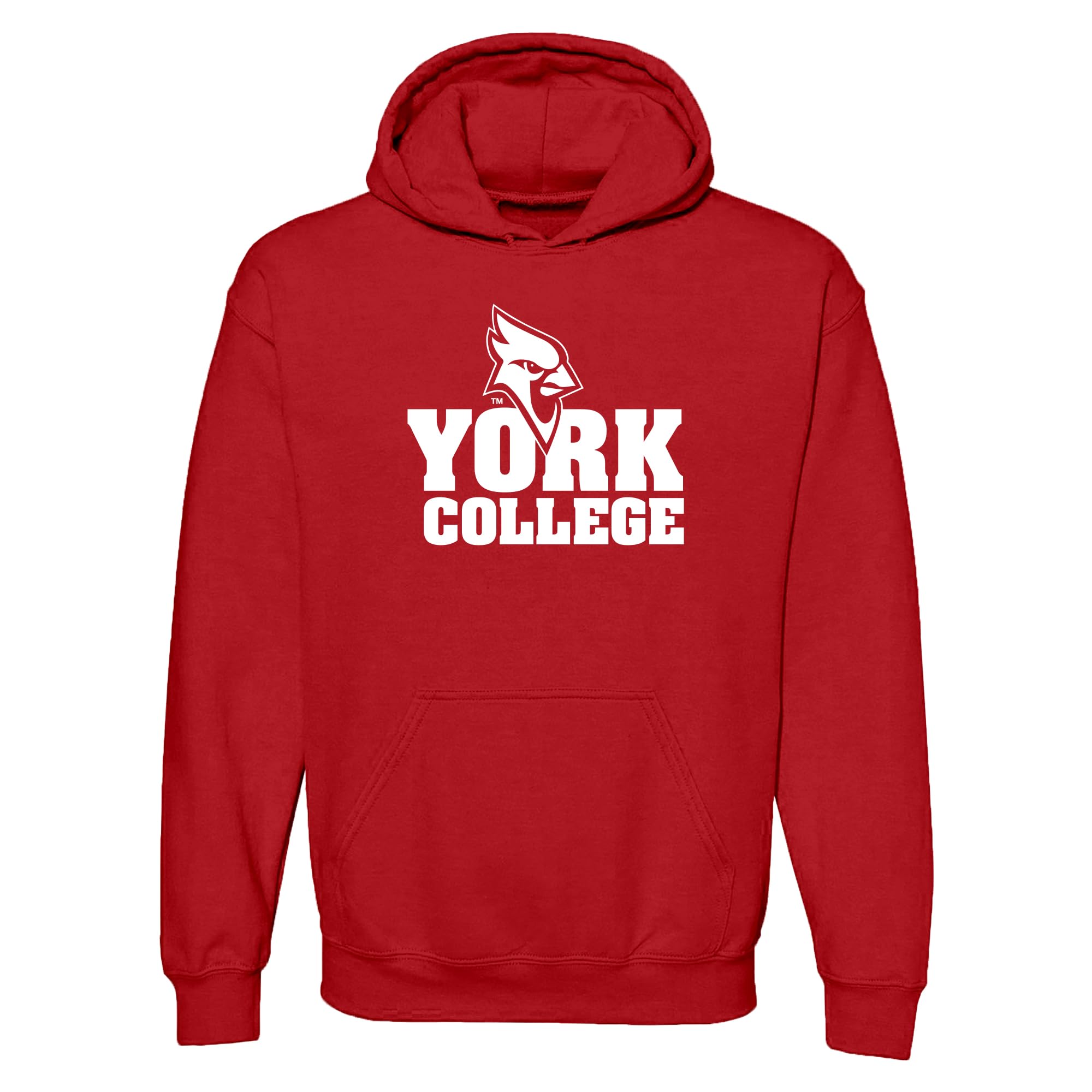 UGP Campus Apparel NCAA Basic Block - University Collegiate Hoodie