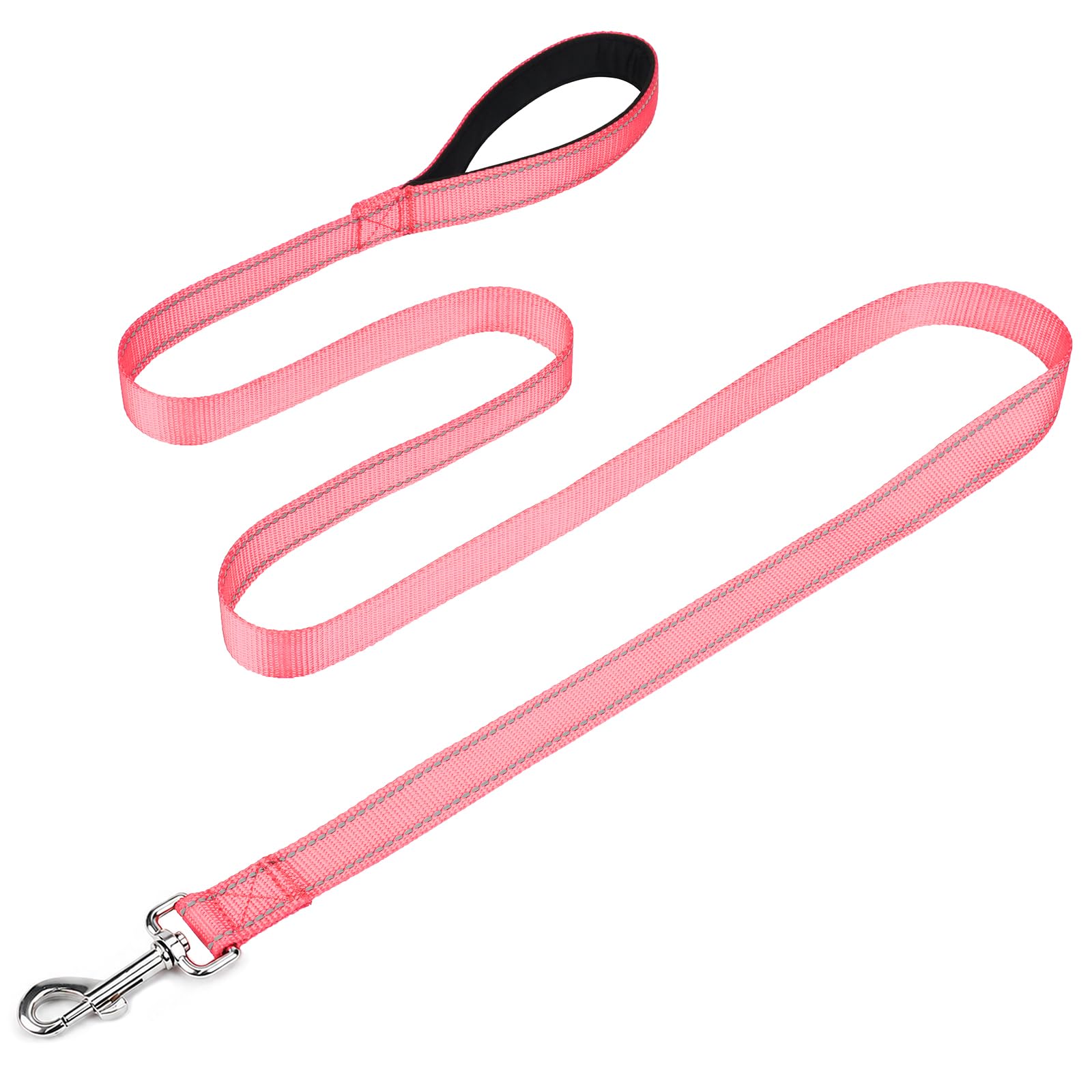 FunTags Reflective Nylon Dog Leash for Medium & Large Dogs, 6FT for Walks