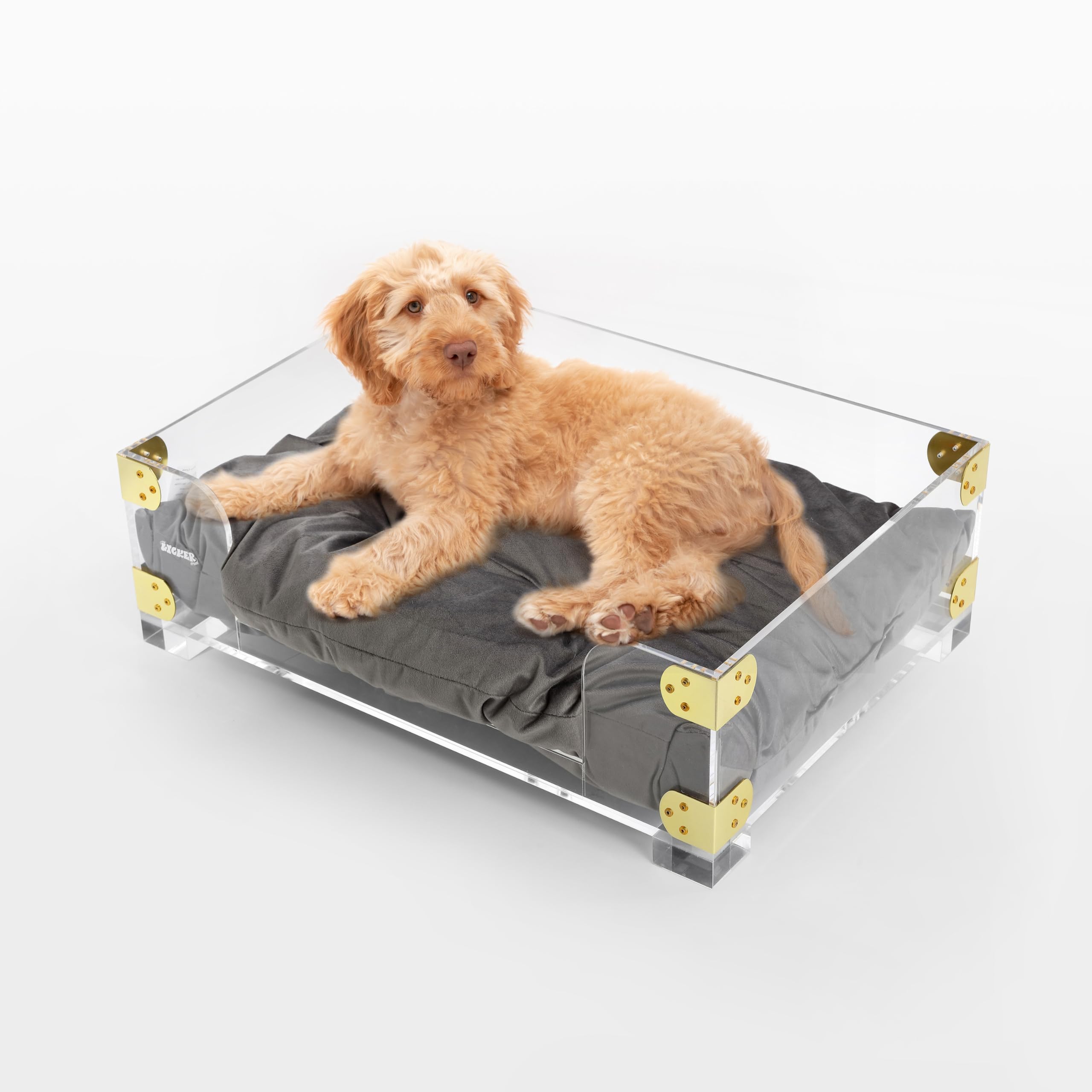 The LICKER Store DBD2002A Haines 21.5" x 15.25" Small/Medium Modern Lucite Velvet Pet Bed with Washable Cushion, Dark Gray/Clear